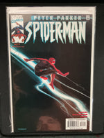 Peter Parker Spider-Man #27 Great Mark Buckingham Cover! Combined Shipping
