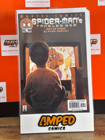 Spider-Mans Tangled Web 10 Marvel Comics Kaare Andrews