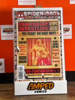 Spider-Mans Tangled Web 14 Marvel Comics 2002
