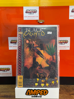 Black Orchid 11 DC Vertigo 1993 Rebecca Guay Cover