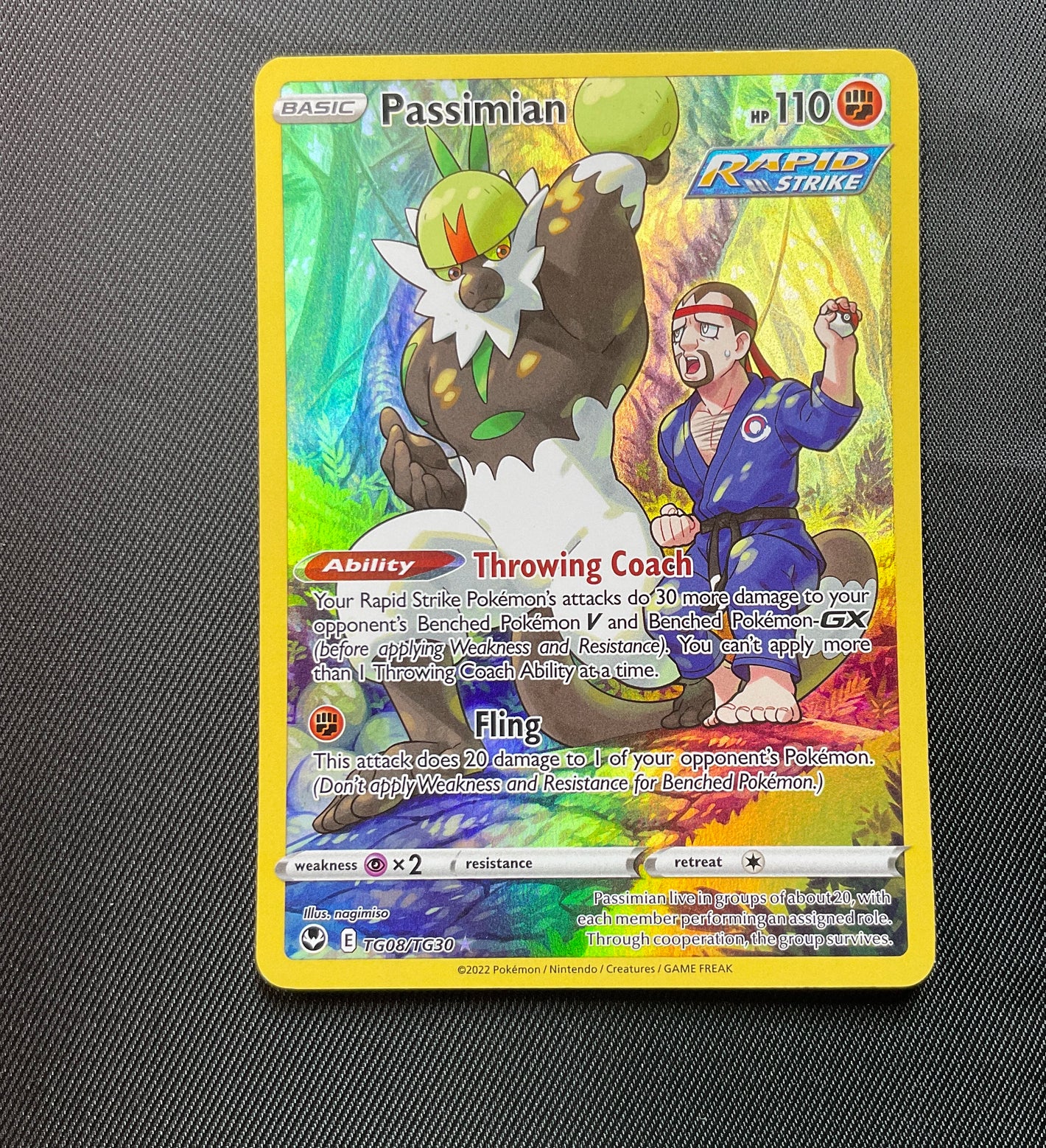 Passimian Rapid StrikeTG08/TG30 Holo Rare - Chilling Reign