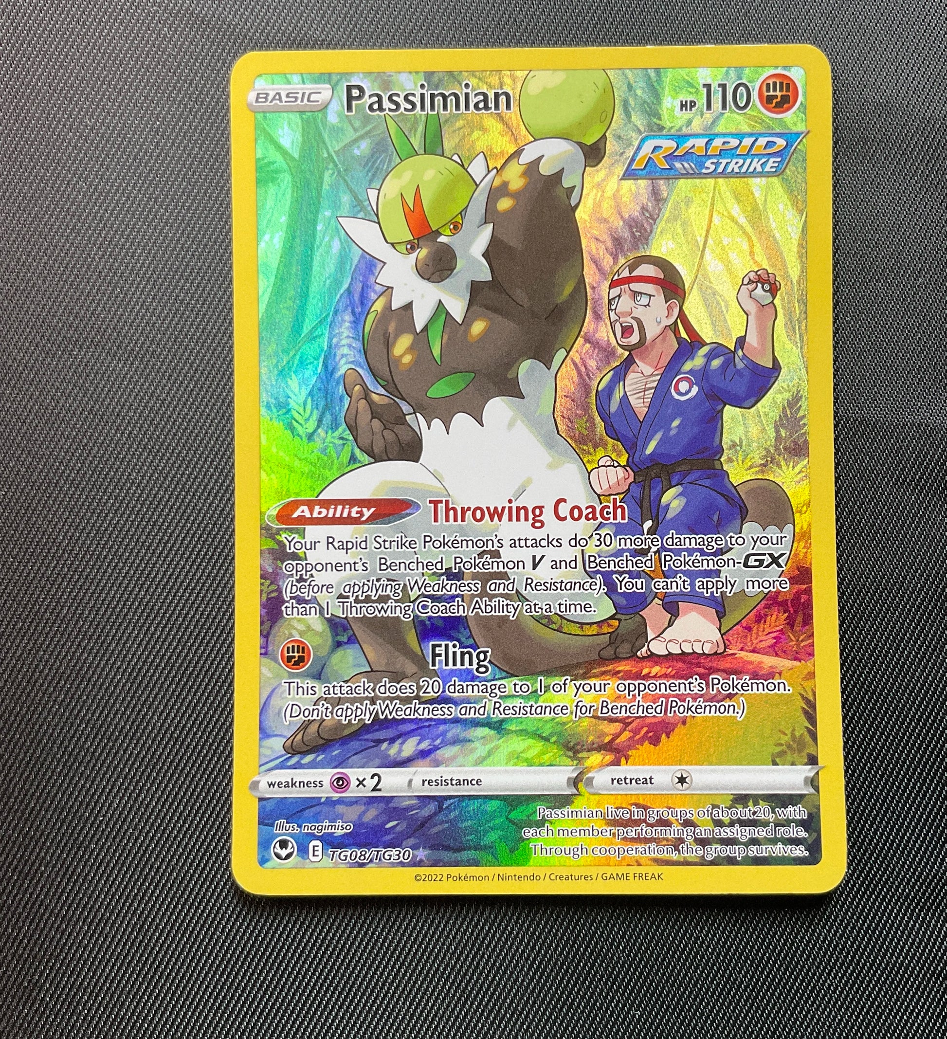 Passimian Rapid StrikeTG08/TG30 Holo Rare - Chilling Reign