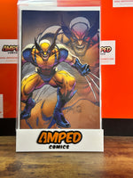 WOLVERINE #12 J. SCOTT CAMPBELL VIRGIN 1:100 VARIANT 