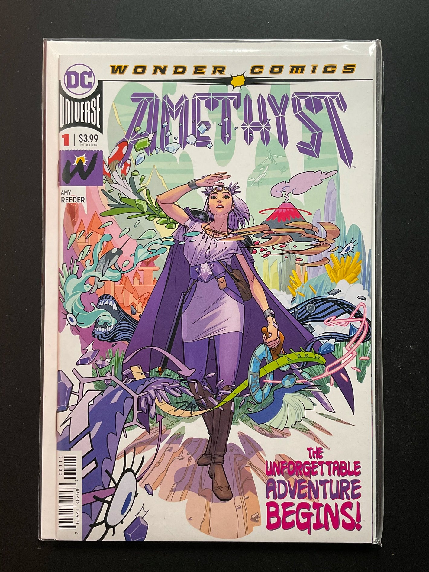 Amethyst 1 (2020) DC Wonder Comics by Amy Reeder