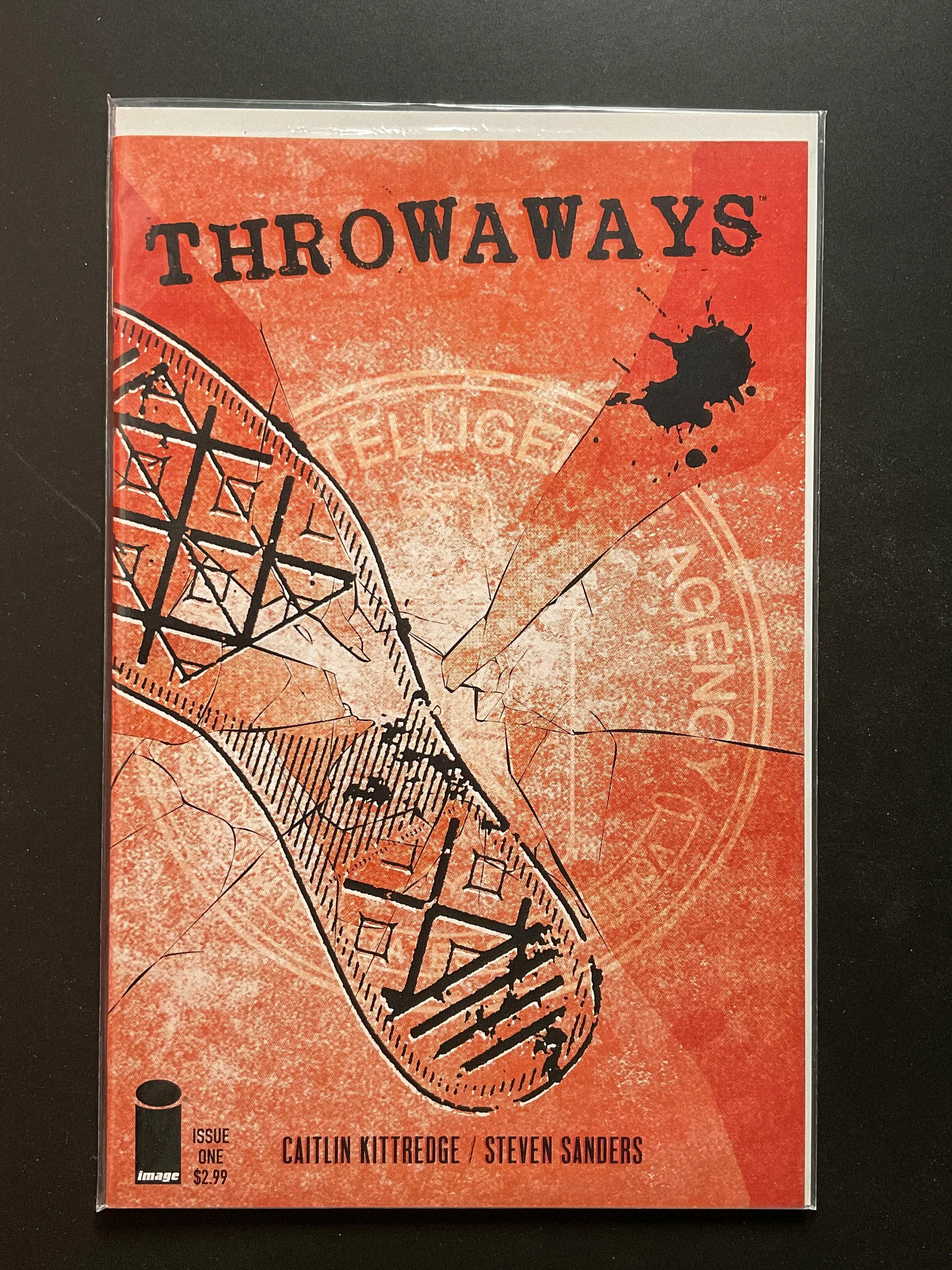 Throwaways 1 Image Comics Caitlin Kittredge Steven Sanders