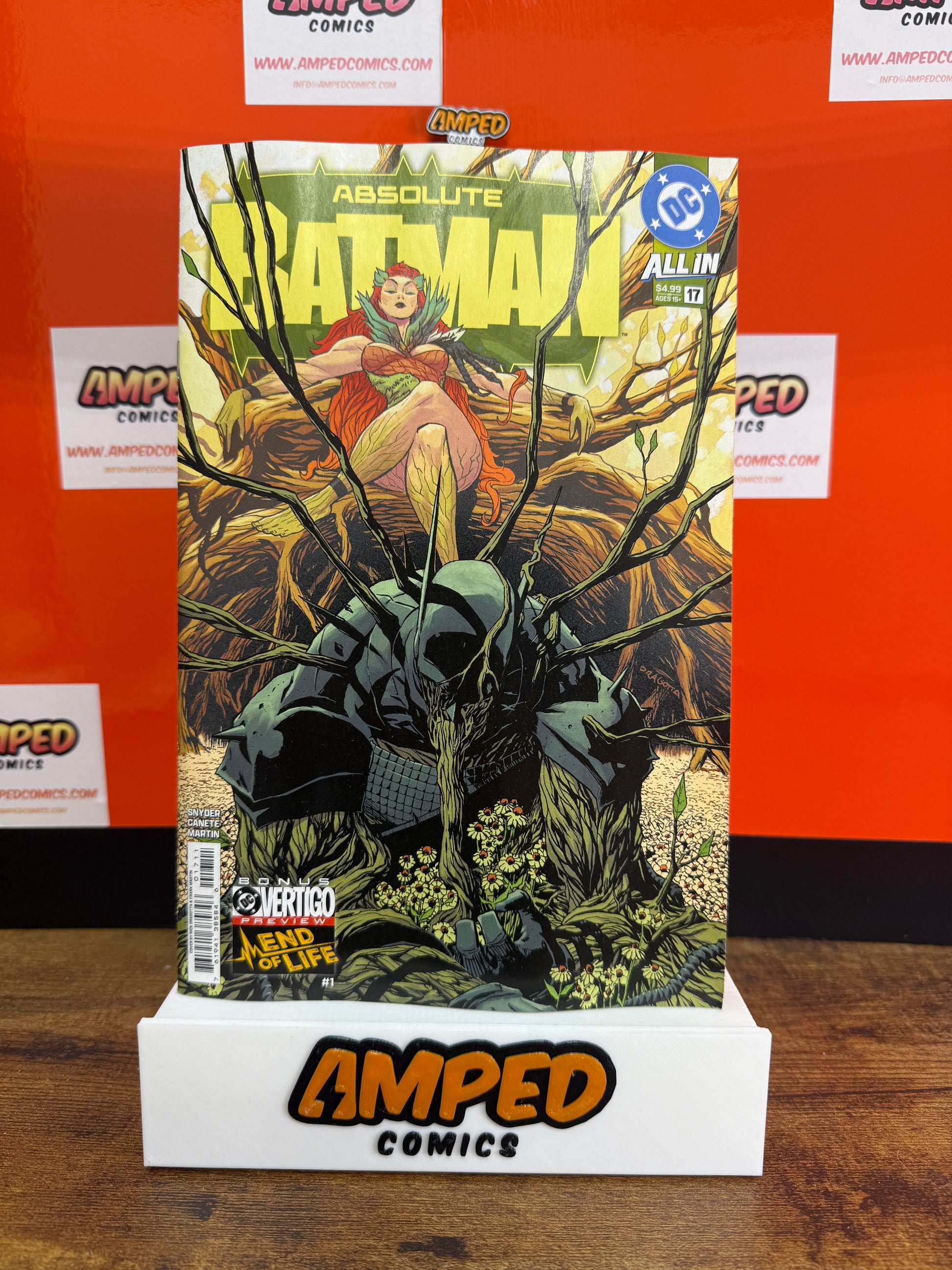 ABSOLUTE BATMAN #17 CVR A NICK DRAGOTTA