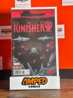 The Punisher 11 Marvel 2017 Cloonan Horak Martin