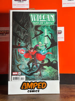 Wiccan Witches Road #1 Rare 1:25 Peralta Variant Edition Marvel Comics