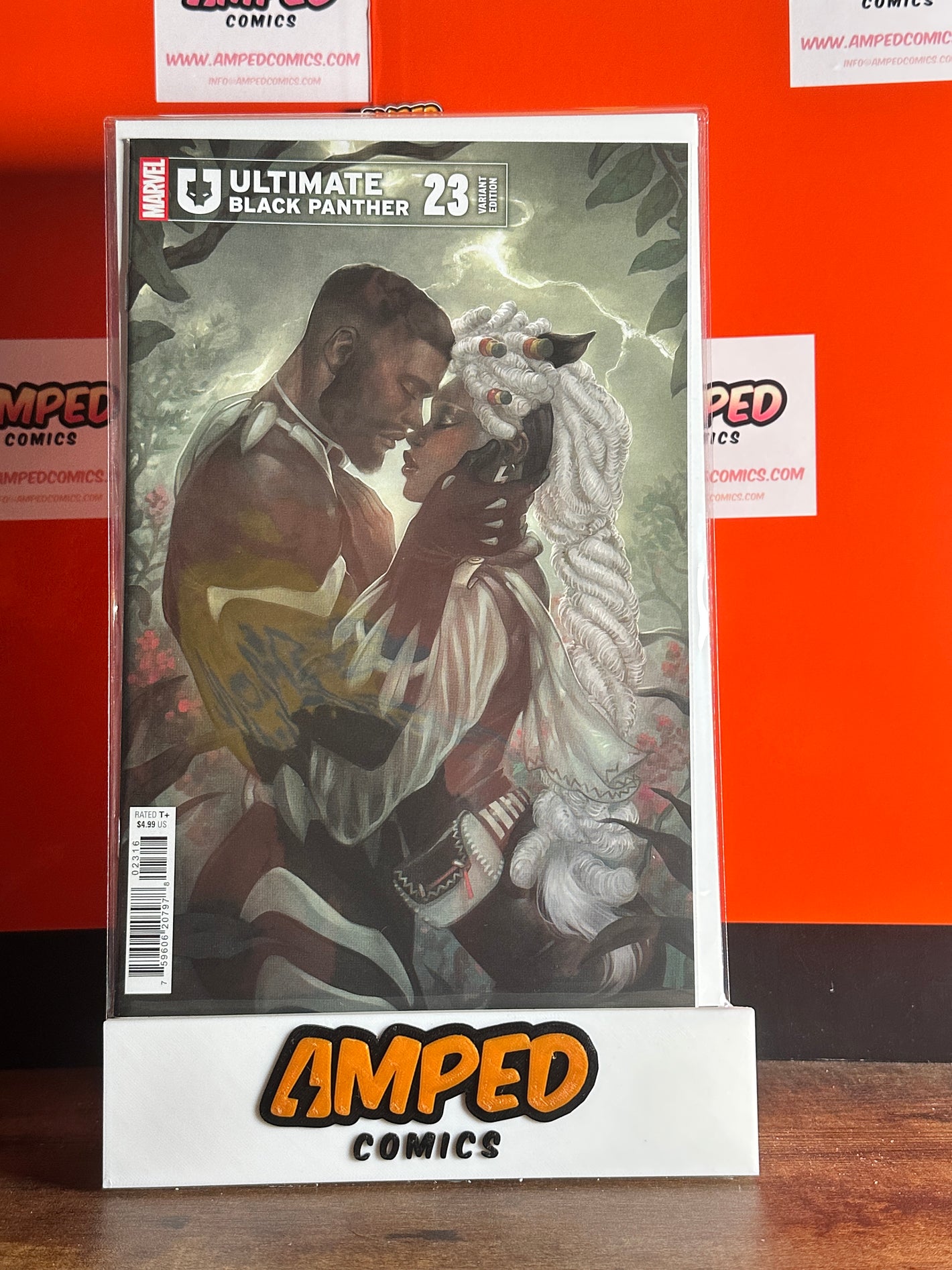 Ultimate Black Panther #23 1:25 Meghan Hetrick Variant Marvel Comics