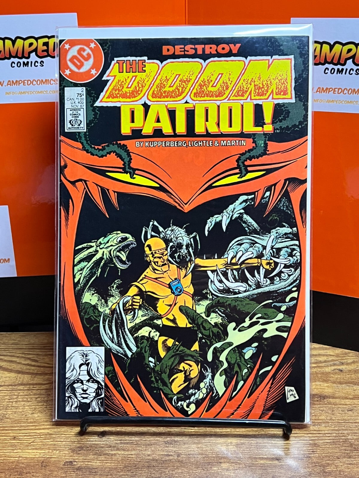 Lot of 2 DC Doom Patrol #2 & 3 COPPER AGE 1987