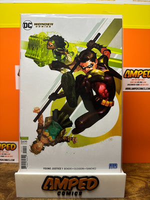 Young Justice 1 DC Wonder Comics Variant Robin Cover