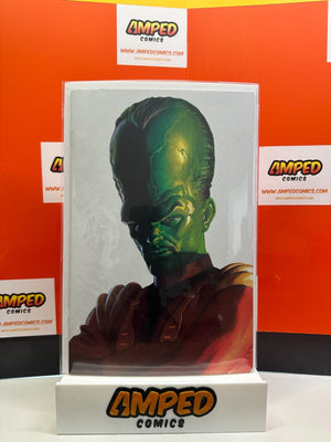 HULK #13 ALEX ROSS TIMELESS LEADER VIRGIN VARIANT (2023)