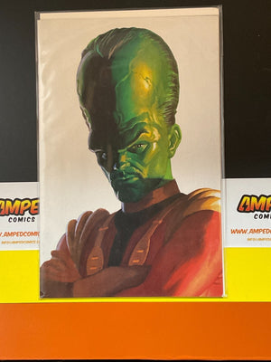 HULK #13 ALEX ROSS TIMELESS LEADER VIRGIN VARIANT (2023)