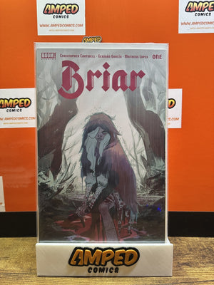 Briar #1 Boom! Studios
